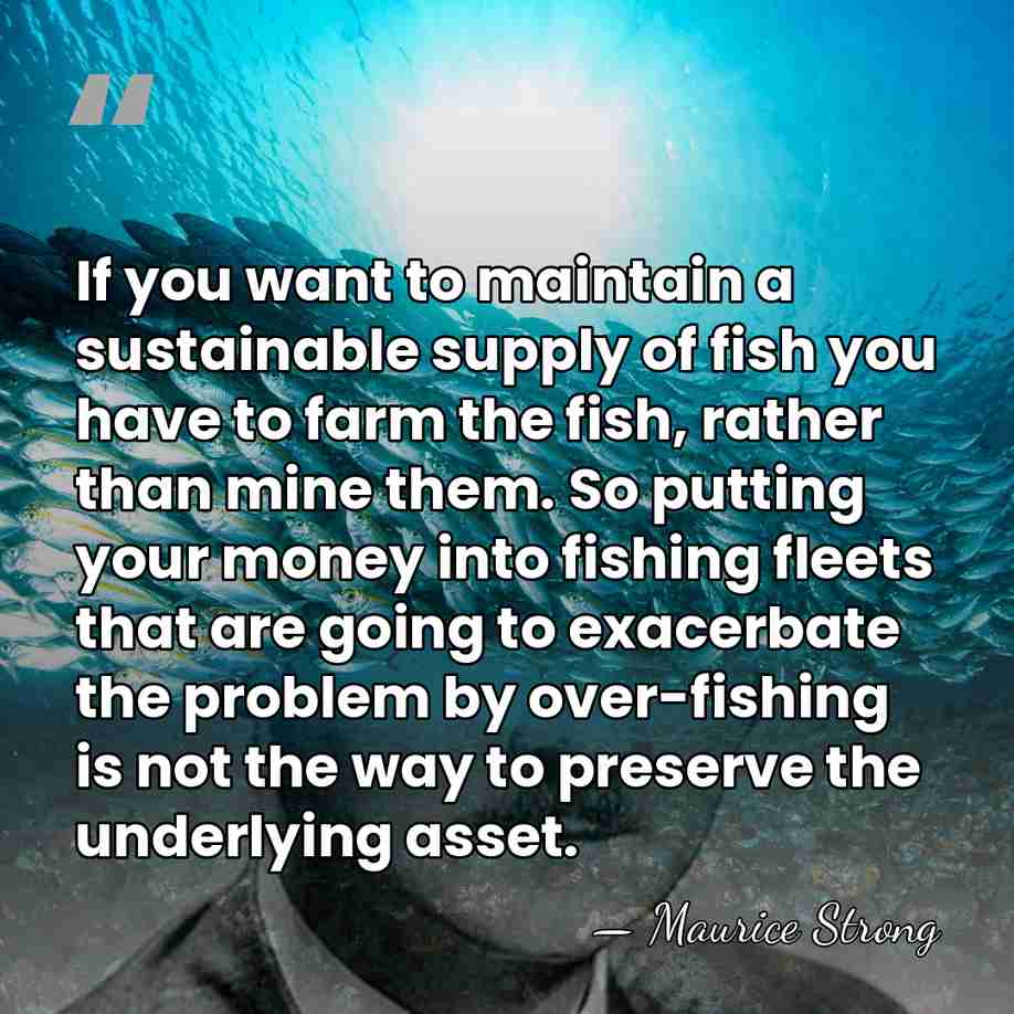 If you want to maintain a sustainable supply of fish you have&hellip; - Maurice Strong