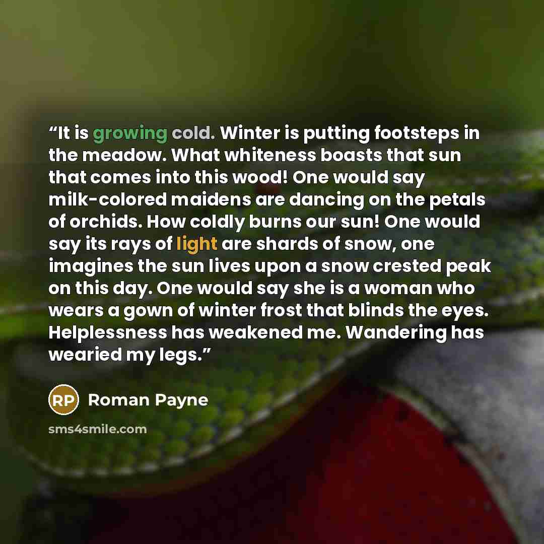 “It is growing cold. Winter is putting footsteps in the meadow. What whiteness boasts that sun that comes into this wood! One would say milk-colored maidens are dancing on the petals of orchids. How coldly burns our sun! One would say its rays of light are shards of snow, one imagines the sun lives…” quote by Roman Payne
