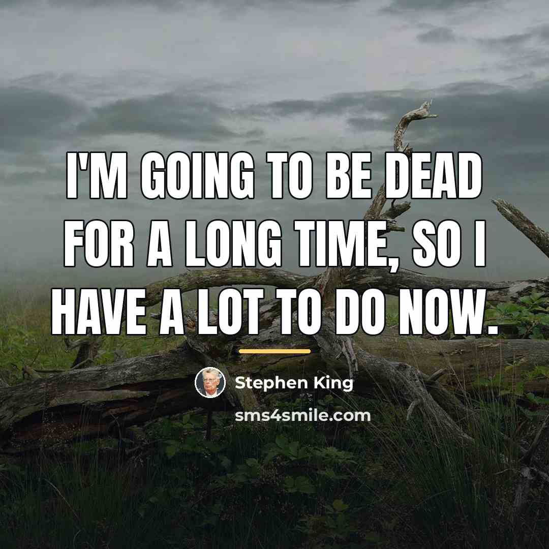 “I'm going to be dead for a long time, so…” quote by Stephen King