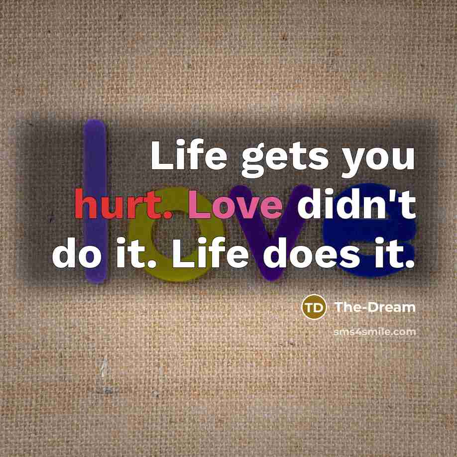 “Life gets you hurt. Love didn't do it. Life does…” quote by The-Dream