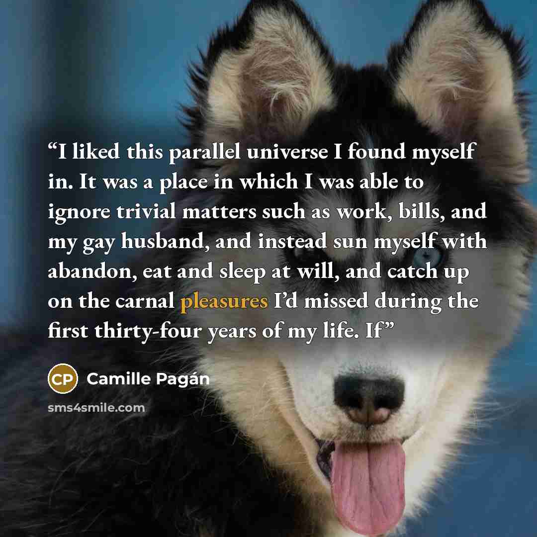 “I liked this parallel universe I found myself in. It was a place in which I was able to ignore trivial matters such as work, bills, and my gay husband, and instead sun myself with abandon, eat and sleep at will, and catch up on the carnal pleasures I’d missed during the first thirty-four years of…” quote by Camille Pagán