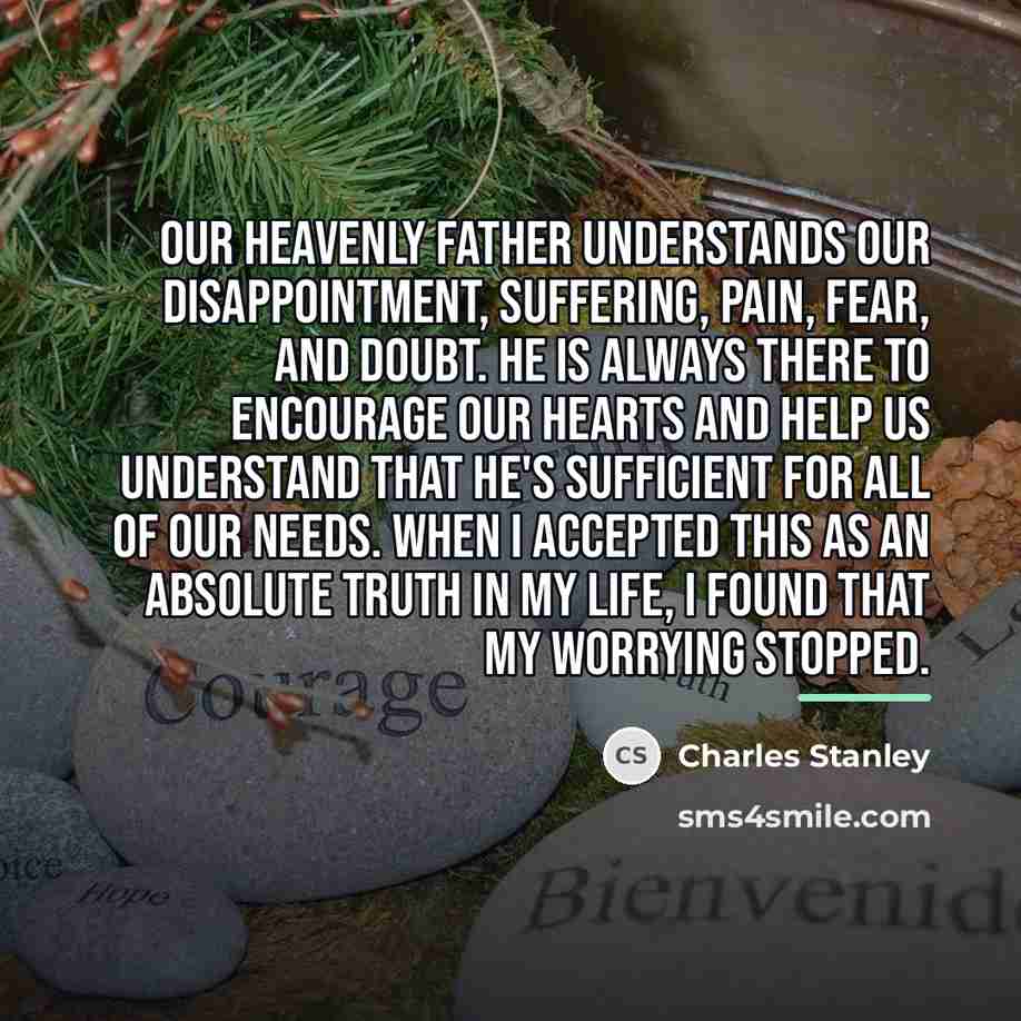 “Our heavenly Father understands our disappointment, suffering, pain, fear, and…” quote by Charles Stanley