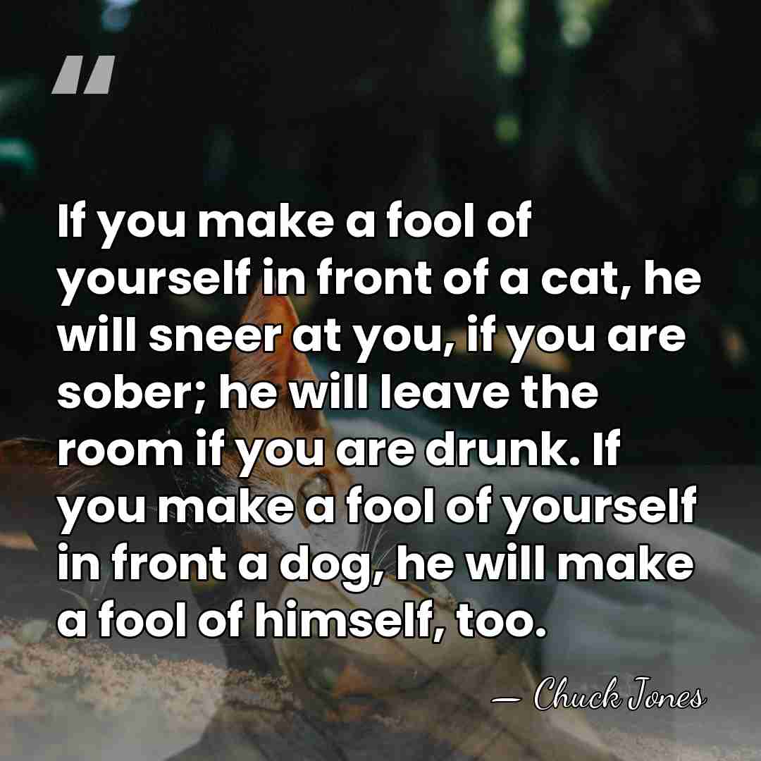 If you make a fool of yourself in front of a cat,&hellip; - Chuck Jones
