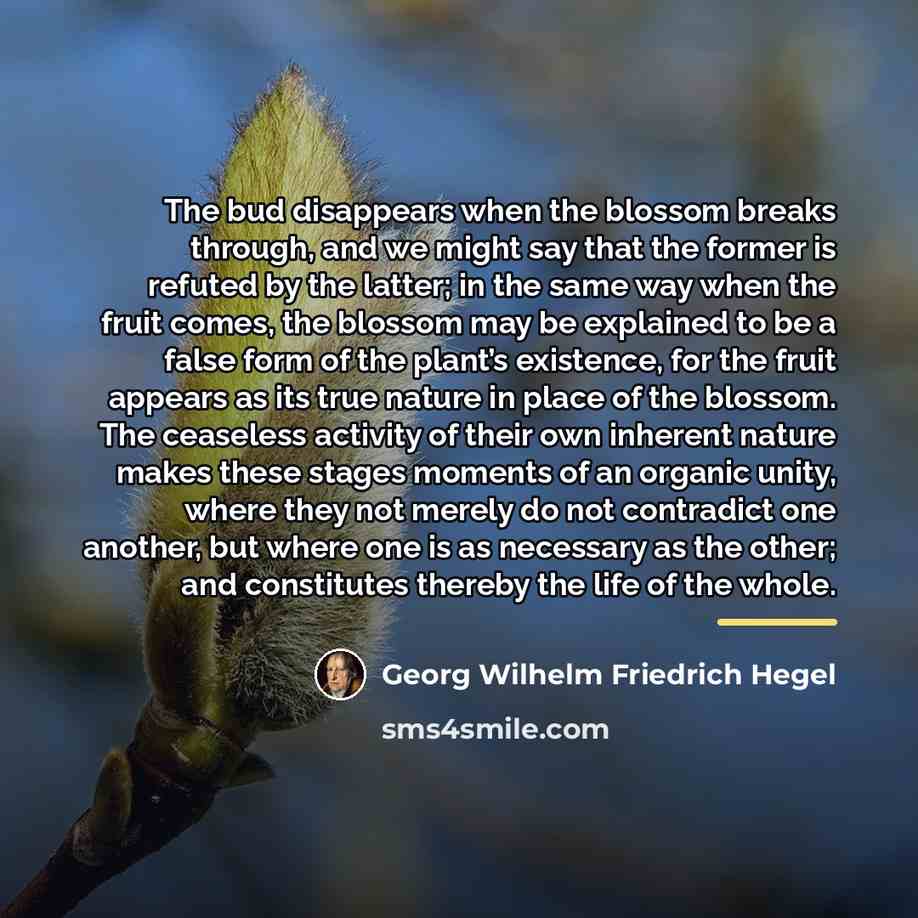 “The bud disappears when the blossom breaks through, and we…” quote by Georg Wilhelm Friedrich Hegel