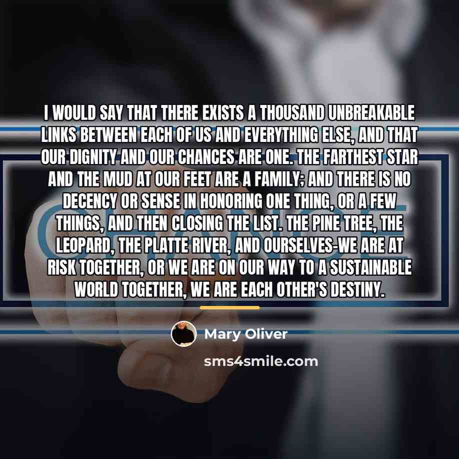 “I would say that there exists a thousand unbreakable links…” quote by Mary Oliver