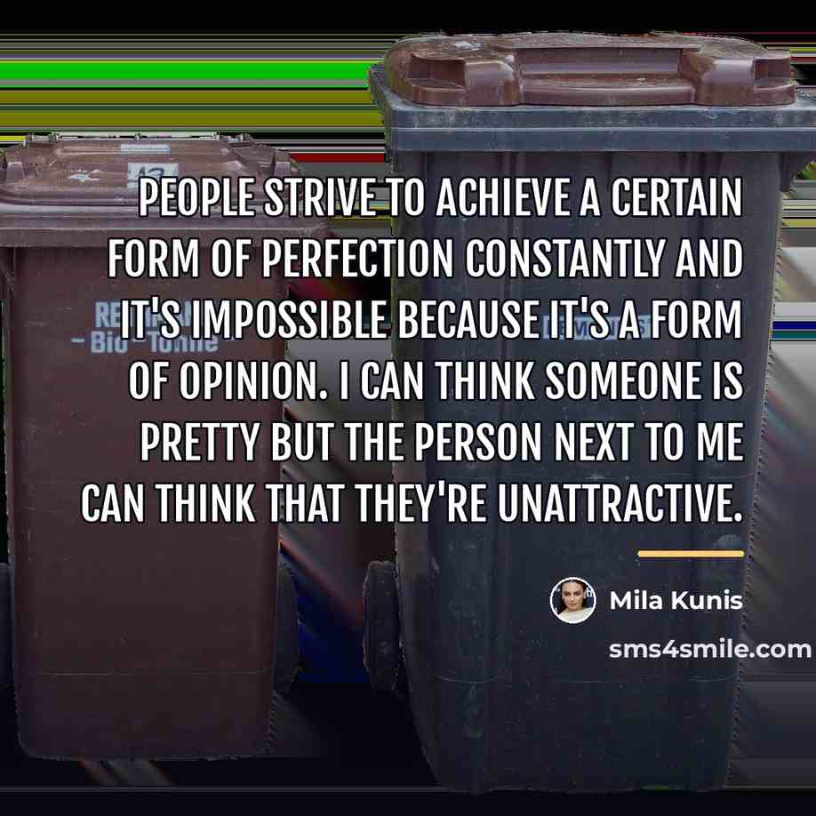 “People strive to achieve a certain form of perfection constantly…” quote by Mila Kunis
