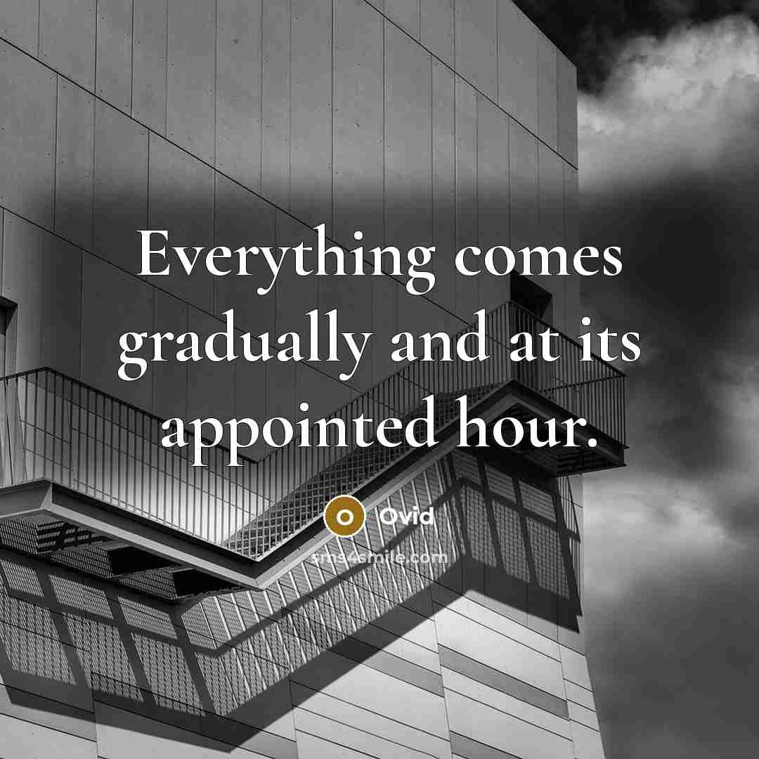 “Everything comes gradually and at its appointed hour.” quote by Ovid