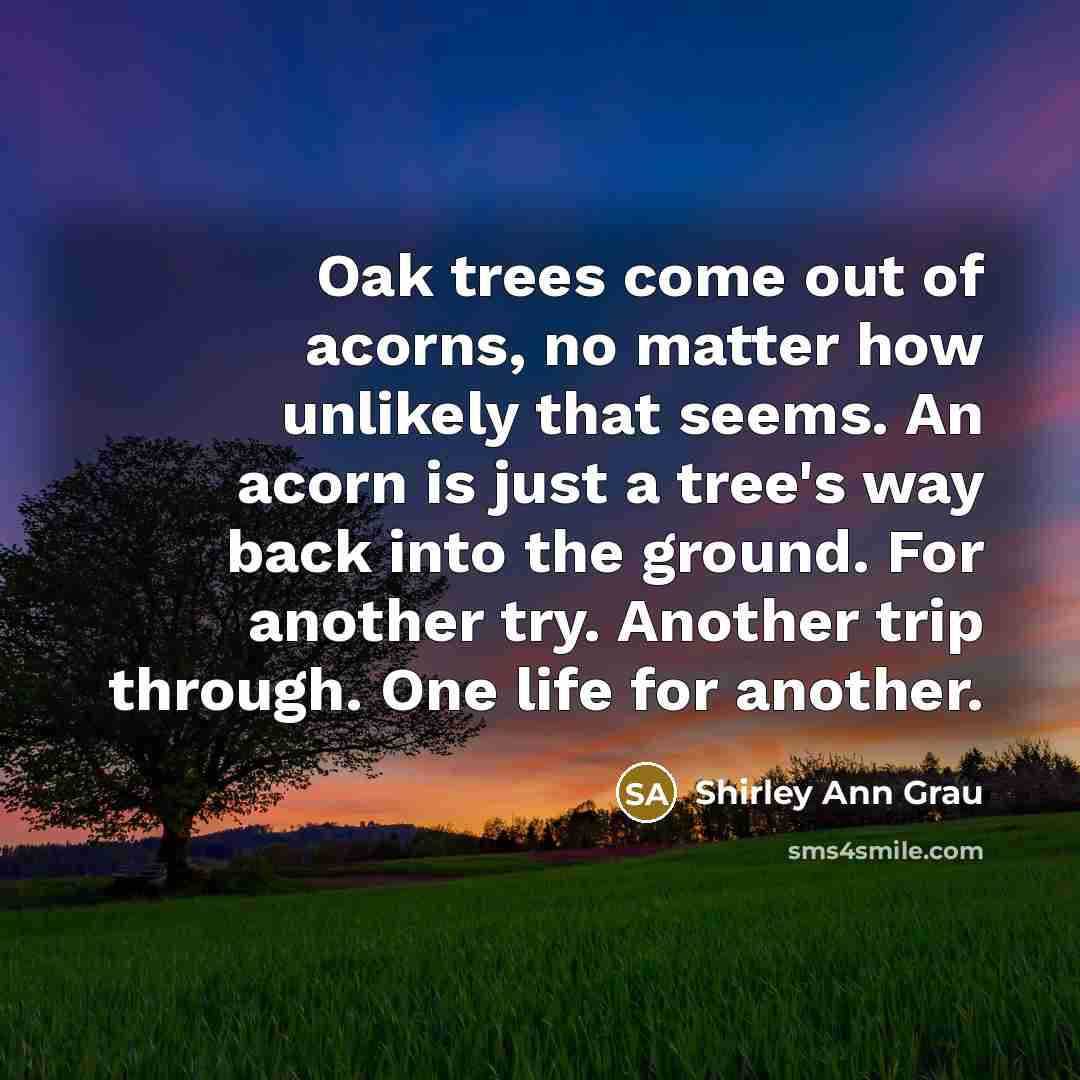 “Oak trees come out of acorns, no matter how unlikely…” quote by Shirley Ann Grau