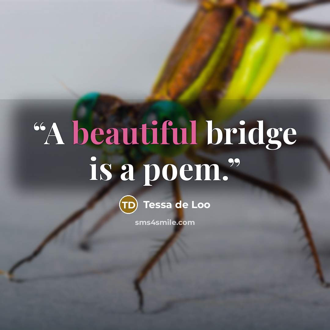 “A beautiful bridge is a poem.” quote by Tessa de Loo