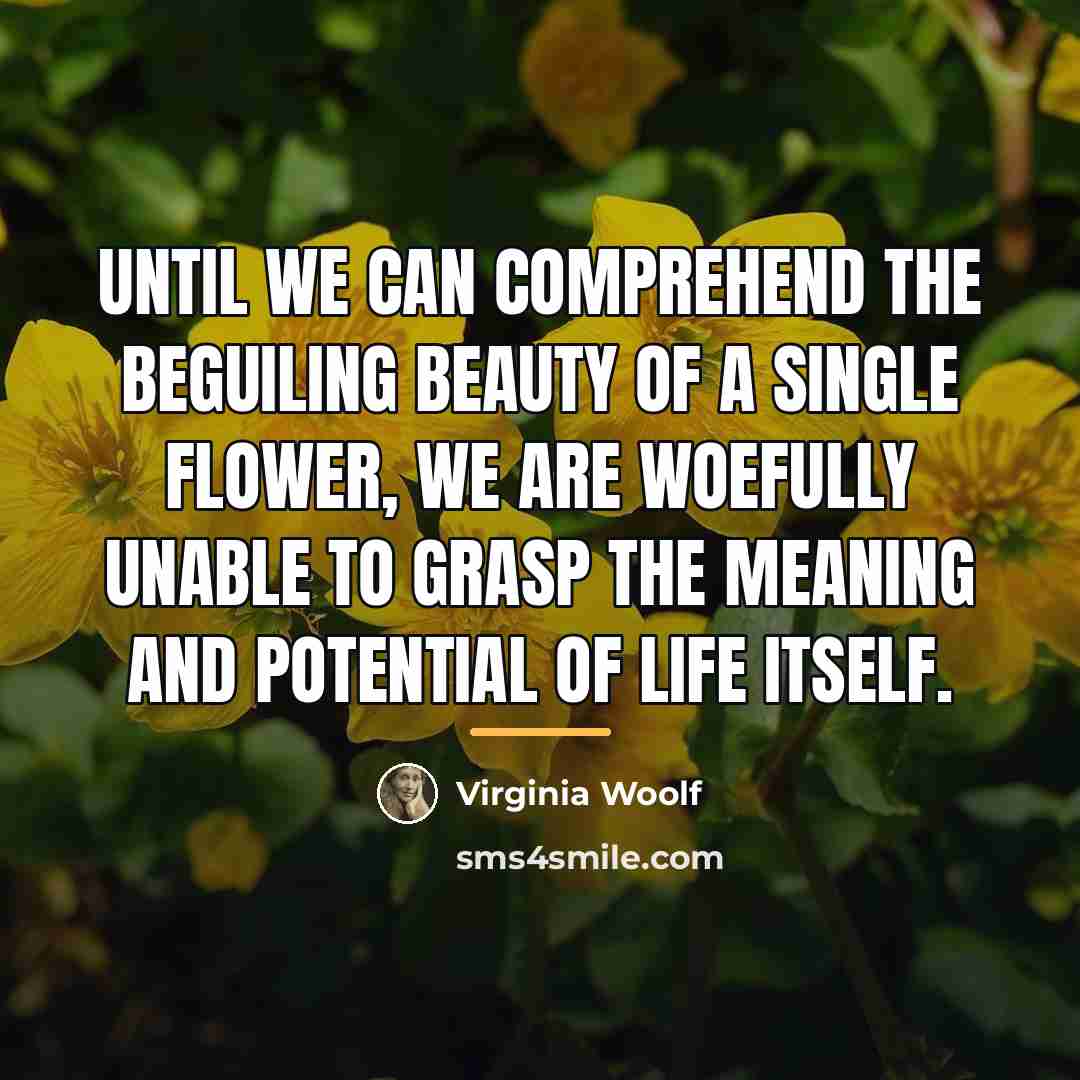 “Until we can comprehend the beguiling beauty of a single…” quote by Virginia Woolf