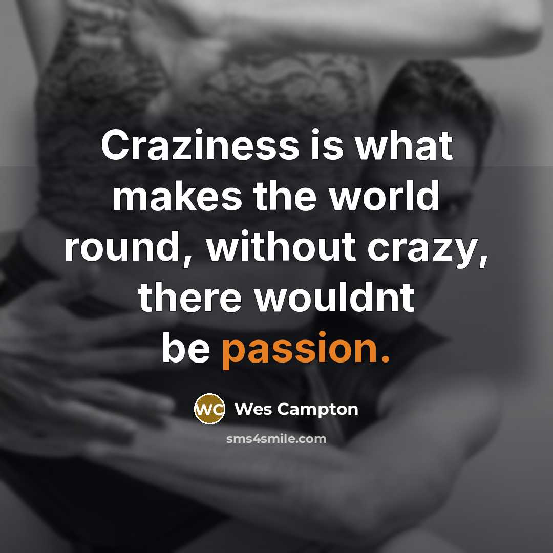 “Craziness is what makes the world round, without crazy, there…” quote by Wes Campton