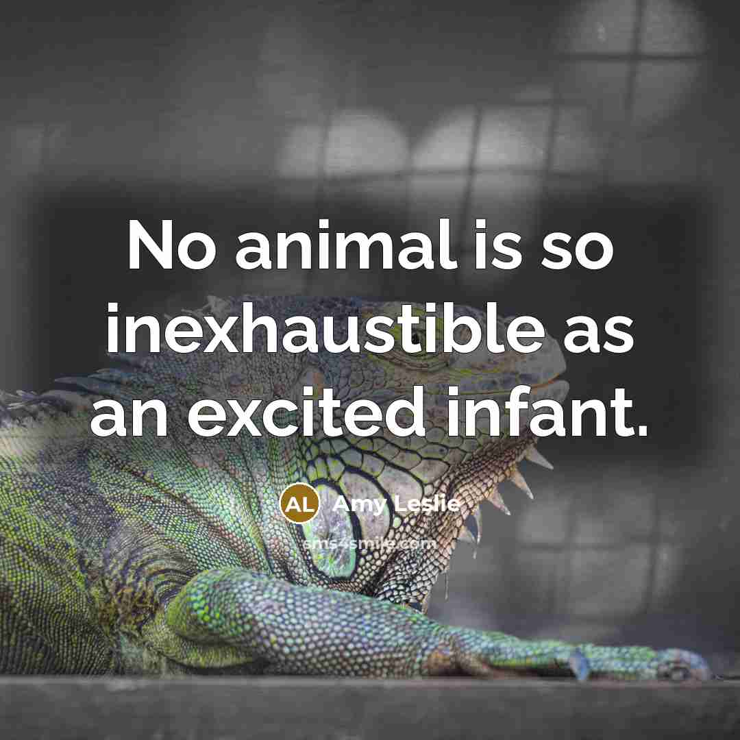 “No animal is so inexhaustible as an excited infant.…” quote by Amy Leslie