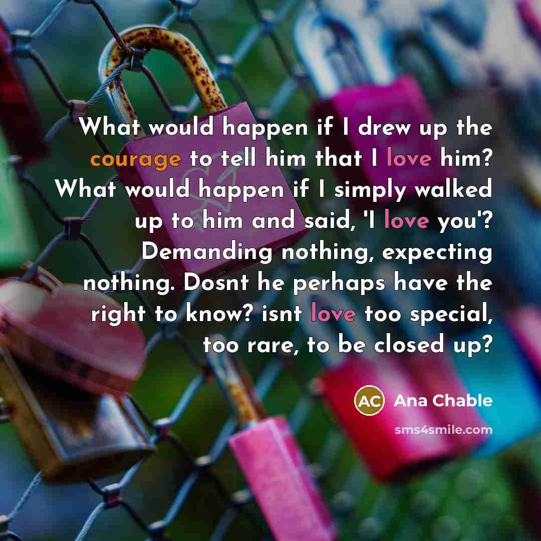 “What would happen if I drew up the courage to…” quote by Ana Chable