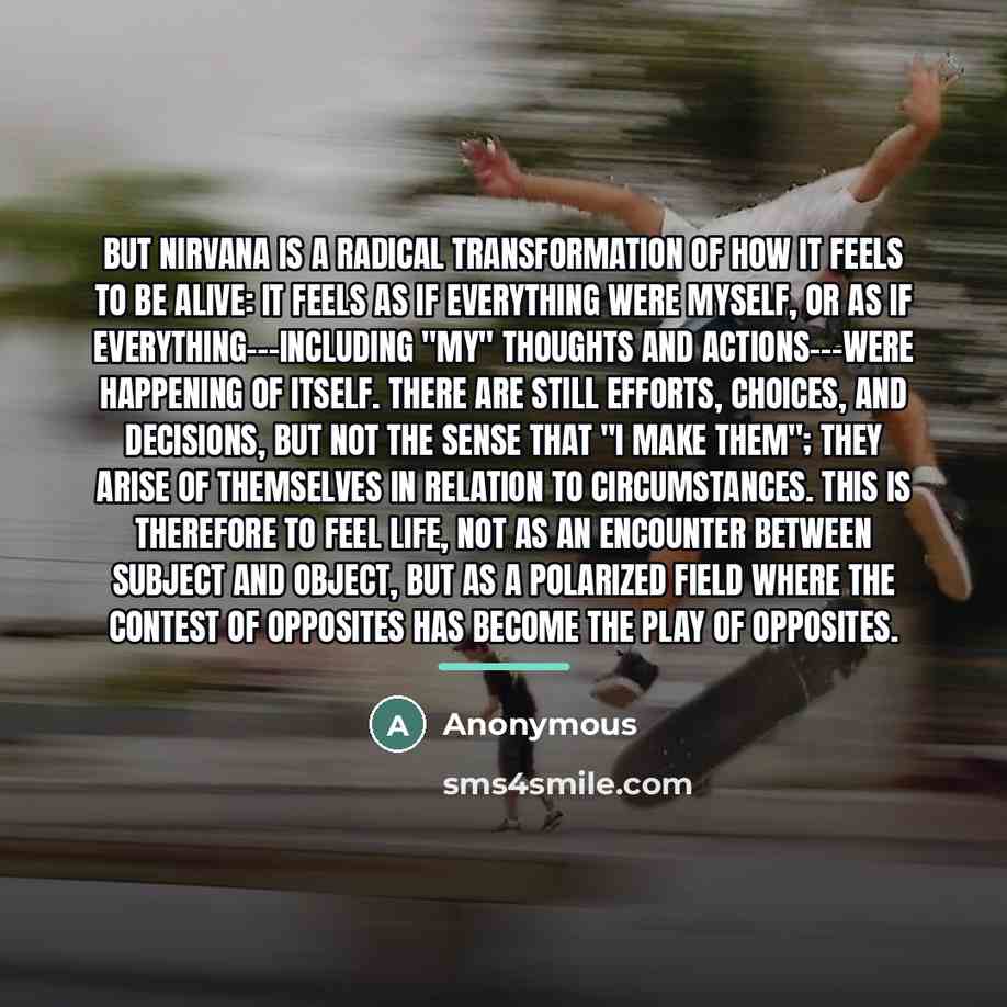 “But nirvana is a radical transformation of how it feels…” quote by Anonymous