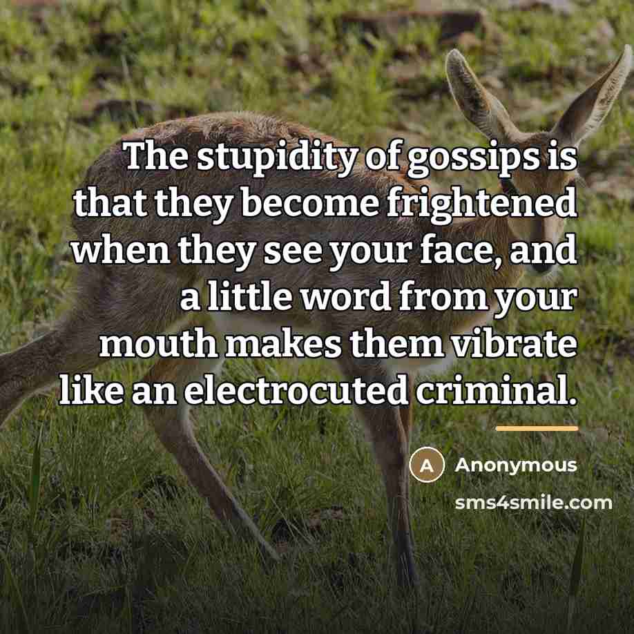 “The stupidity of gossips is that they become frightened when…” quote by Anonymous