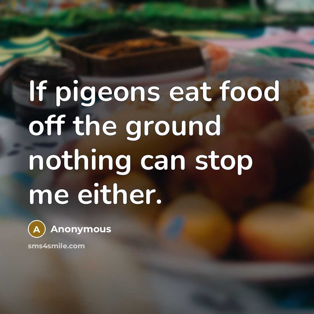 “If pigeons eat food off the ground nothing can stop me either.” quote by Anonymous