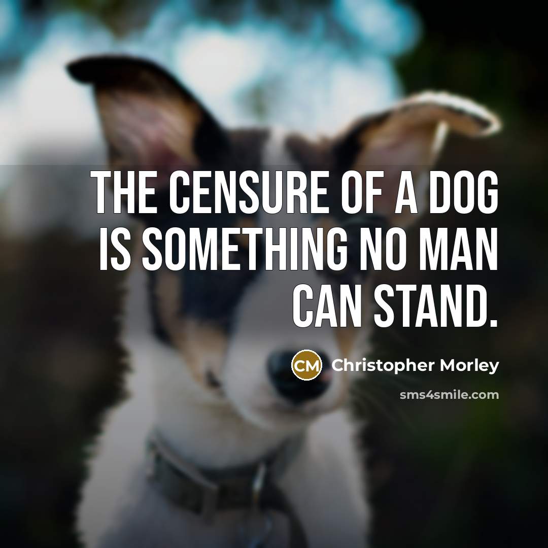 “The censure of a dog is something no man can…” quote by Christopher Morley