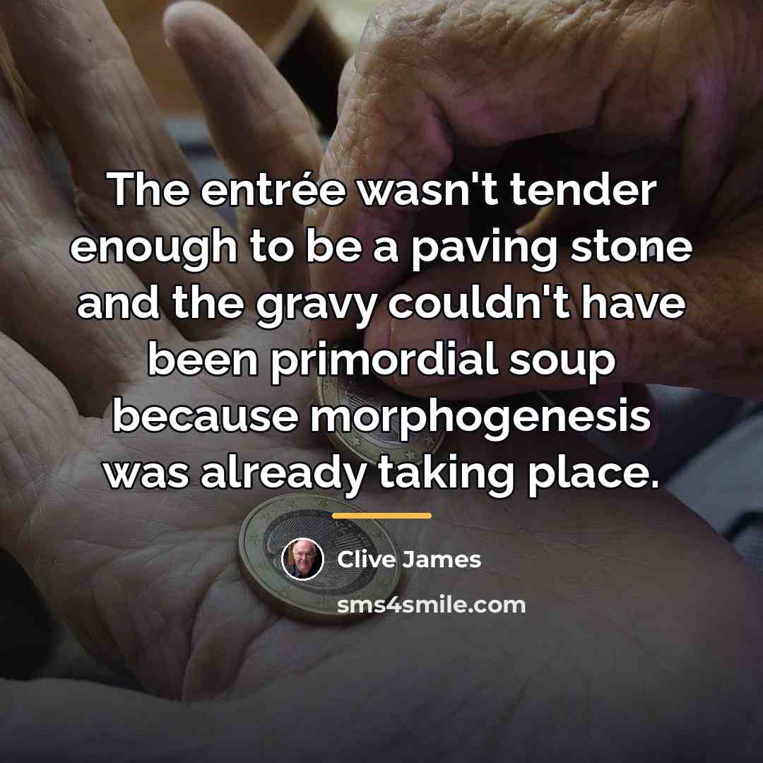 “The entrée wasn't tender enough to be a paving stone…” quote by Clive James