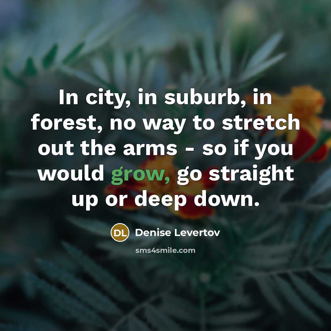 “In city, in suburb, in forest, no way to stretch…” quote by Denise Levertov