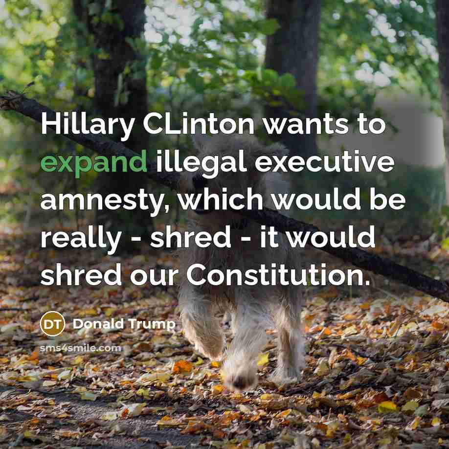 “Hillary CLinton wants to expand illegal executive amnesty, which would…” quote by Donald Trump