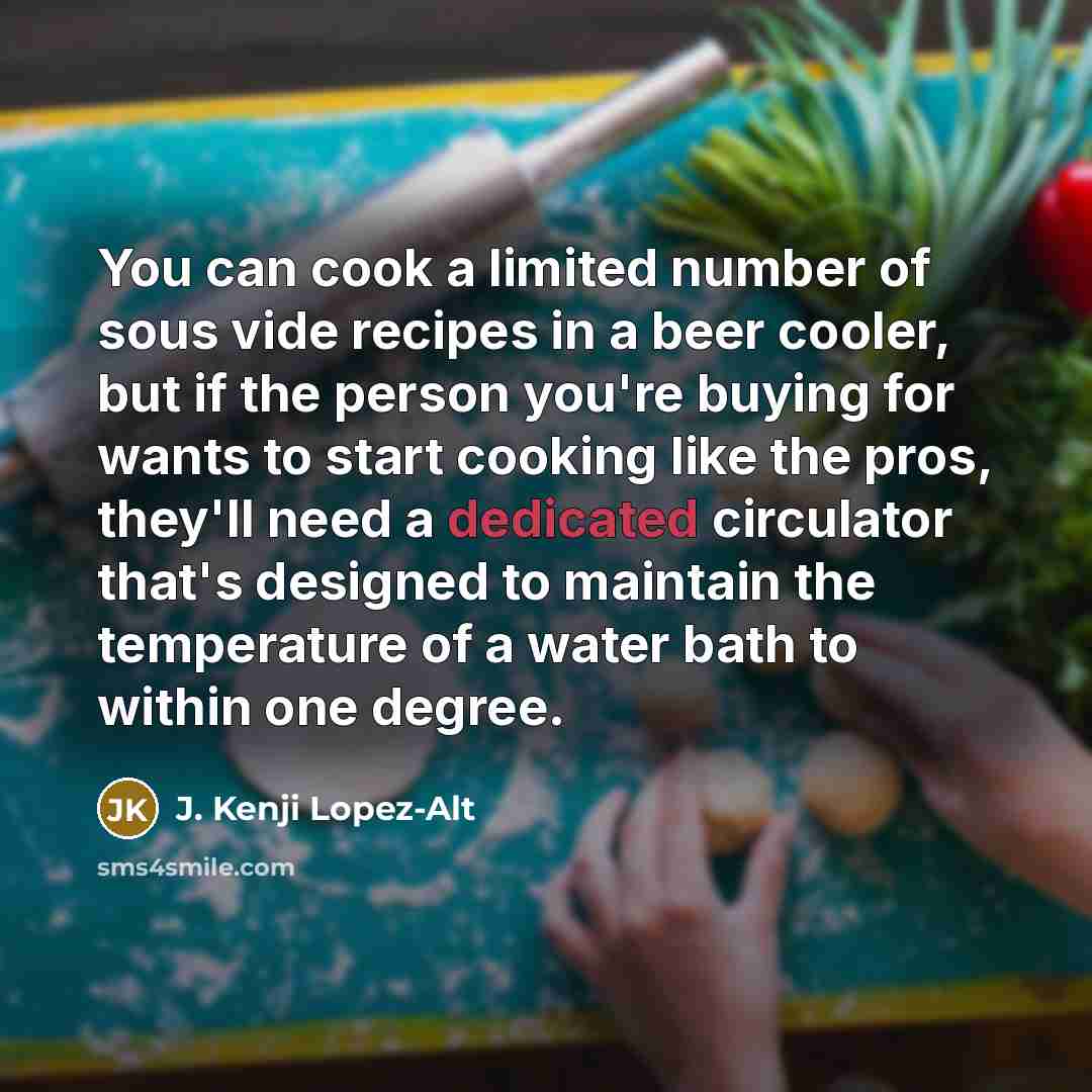 “You can cook a limited number of sous vide recipes…” quote by J. Kenji Lopez-Alt
