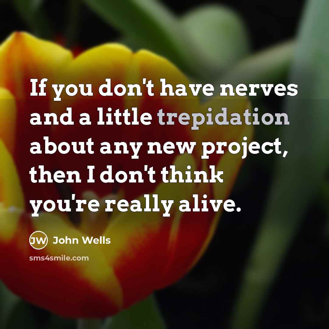 “If you don't have nerves and a little trepidation about…” quote by John Wells