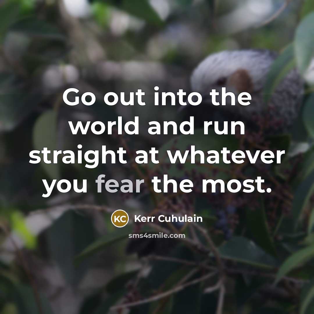 “Go out into the world and run straight at whatever…” quote by Kerr Cuhulain