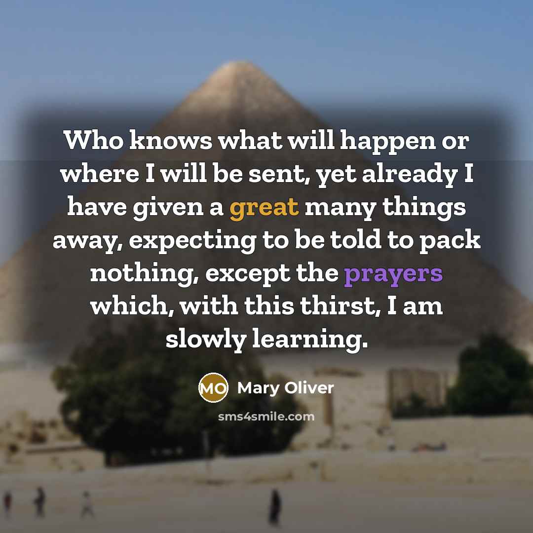 “Who knows what will happen or where I will be…” quote by Mary Oliver