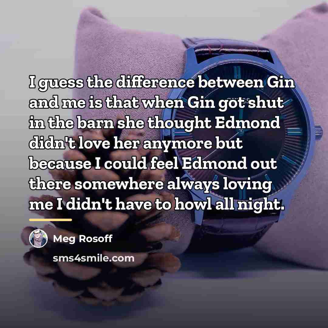 “I guess the difference between Gin and me is that…” quote by Meg Rosoff