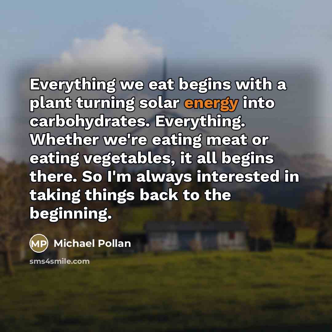 “Everything we eat begins with a plant turning solar energy…” quote by Michael Pollan
