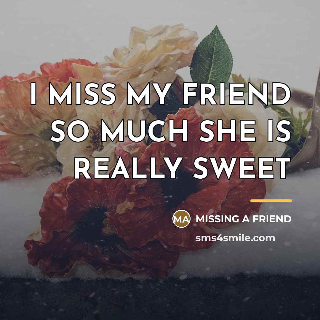 “I MISS MY FRIEND SO MUCH SHE IS REALLY SWEET…” quote by Missing a Friend