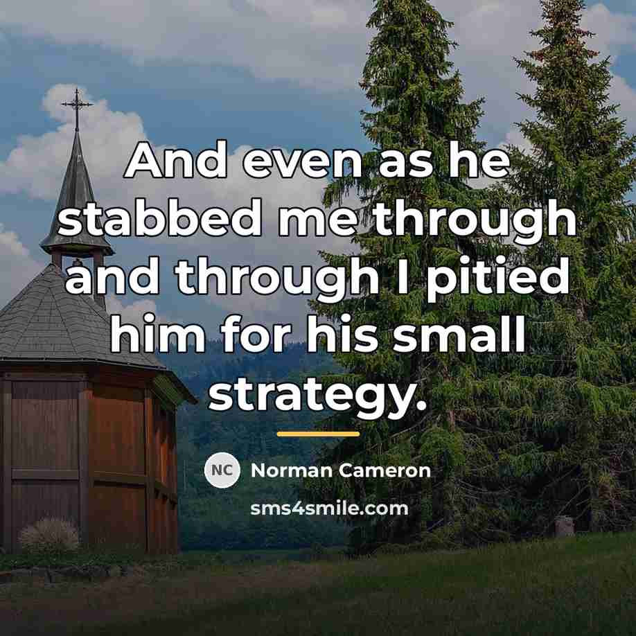 “And even as he stabbed me through and through I…” quote by Norman Cameron