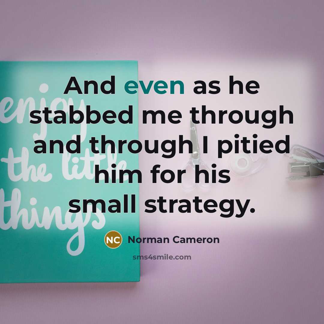 “And even as he stabbed me through and through I pitied him for his small strategy.” quote by Norman Cameron