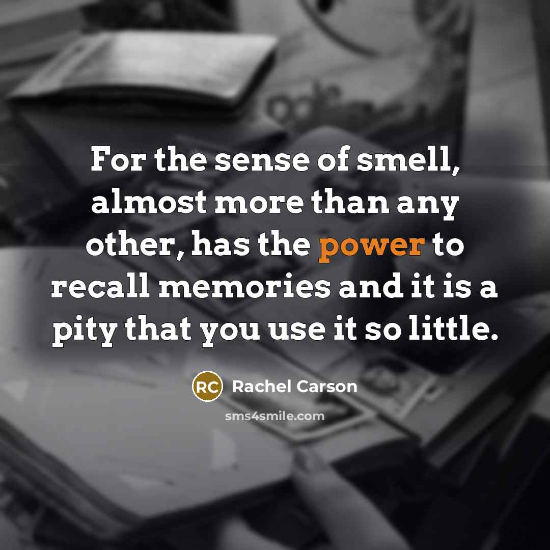 “For the sense of smell, almost more than any other,…” quote by Rachel Carson