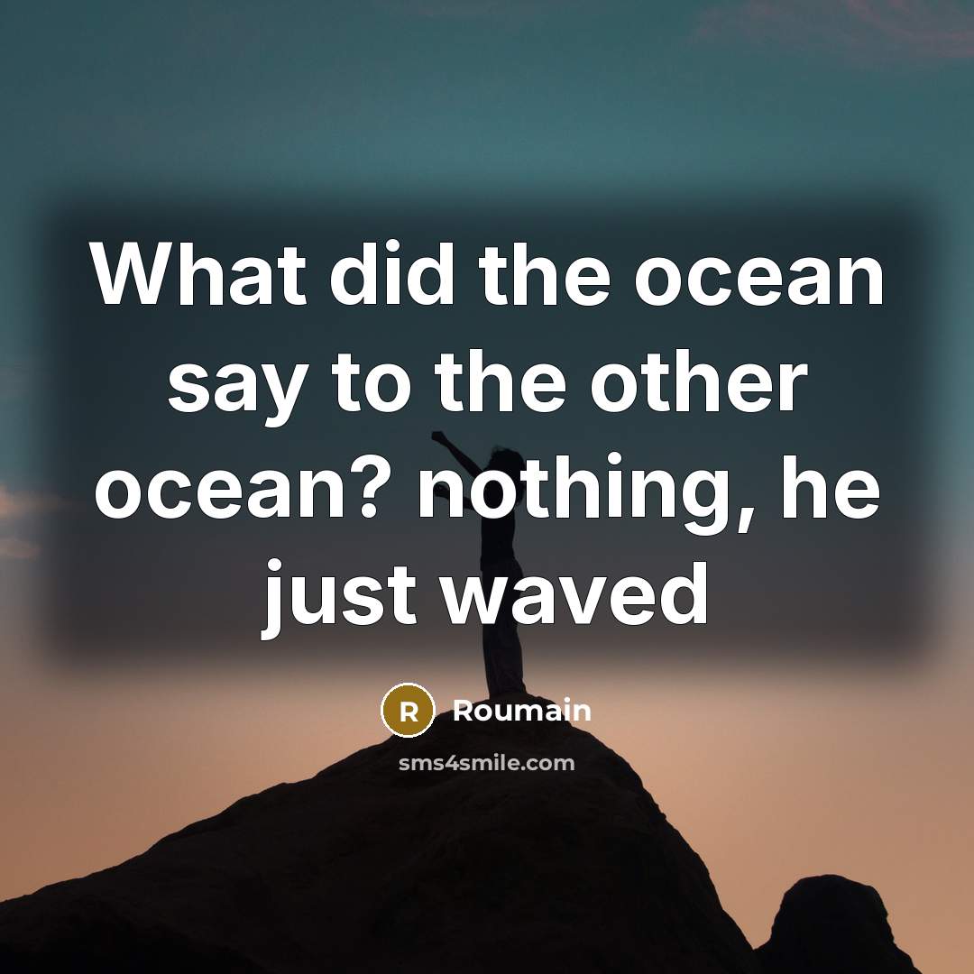 “What did the ocean say to the other ocean? nothing,…” quote by Roumain