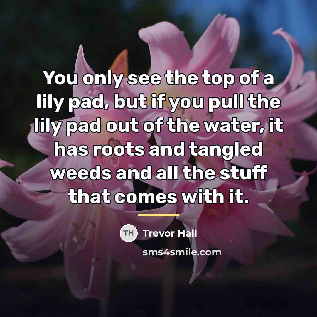 “You only see the top of a lily pad, but…” quote by Trevor Hall