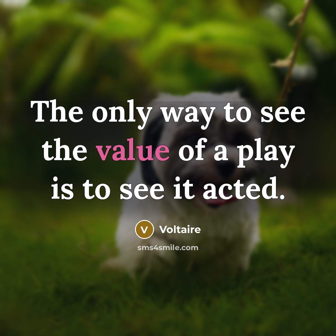 “The only way to see the value of a play…” quote by Voltaire