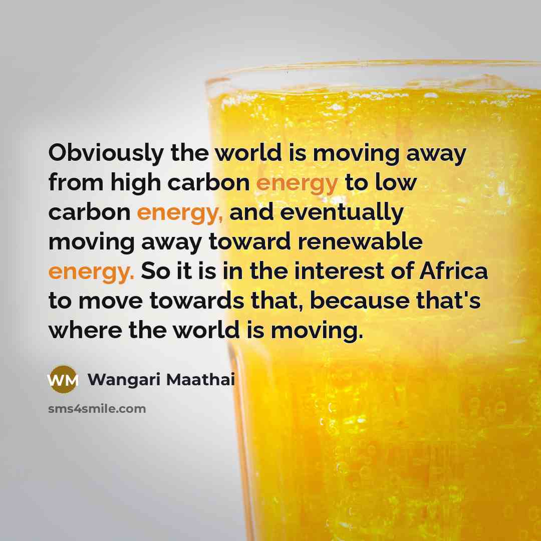 “Obviously the world is moving away from high carbon energy…” quote by Wangari Maathai