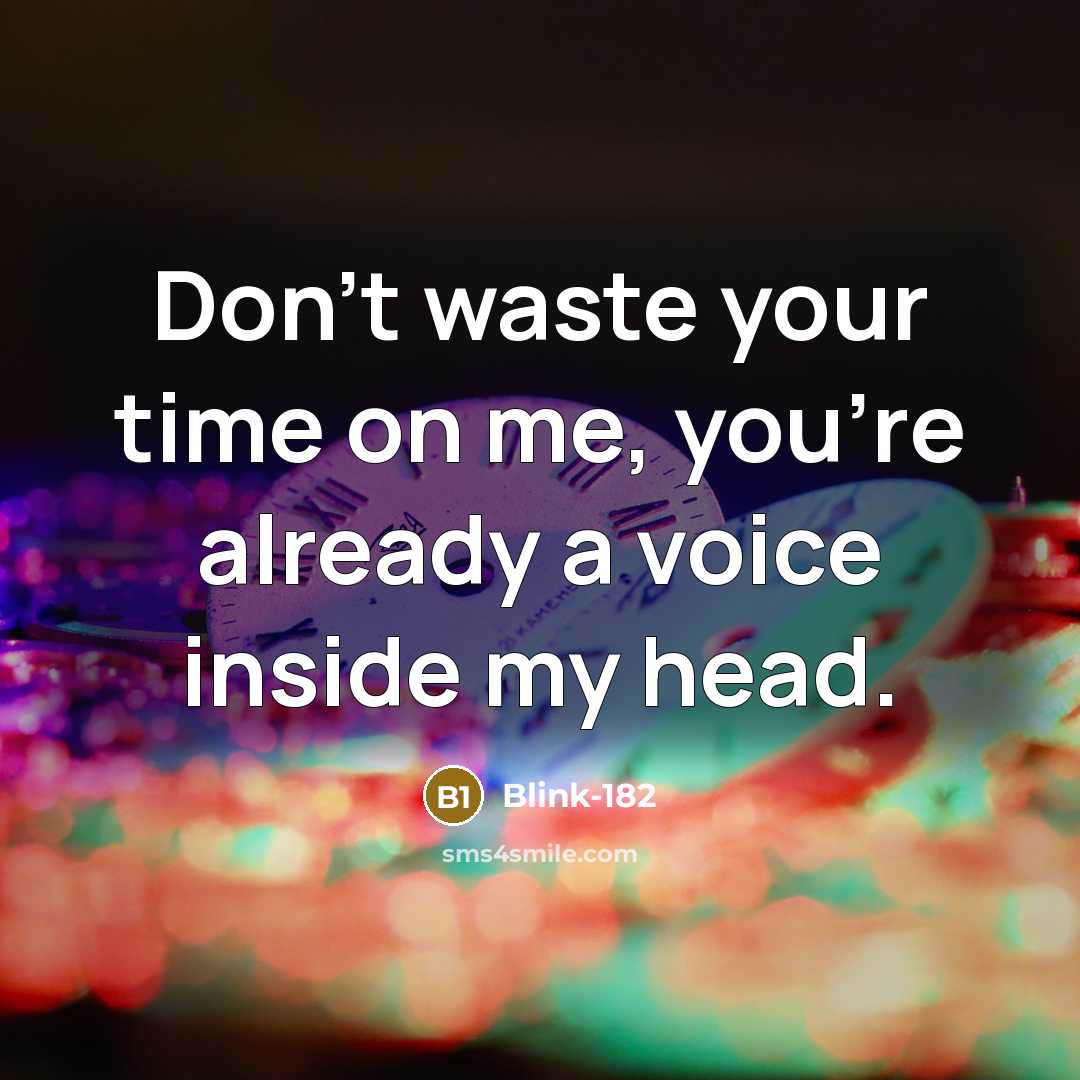 “Don't waste your time on me, you're already a voice…” quote by Blink-182