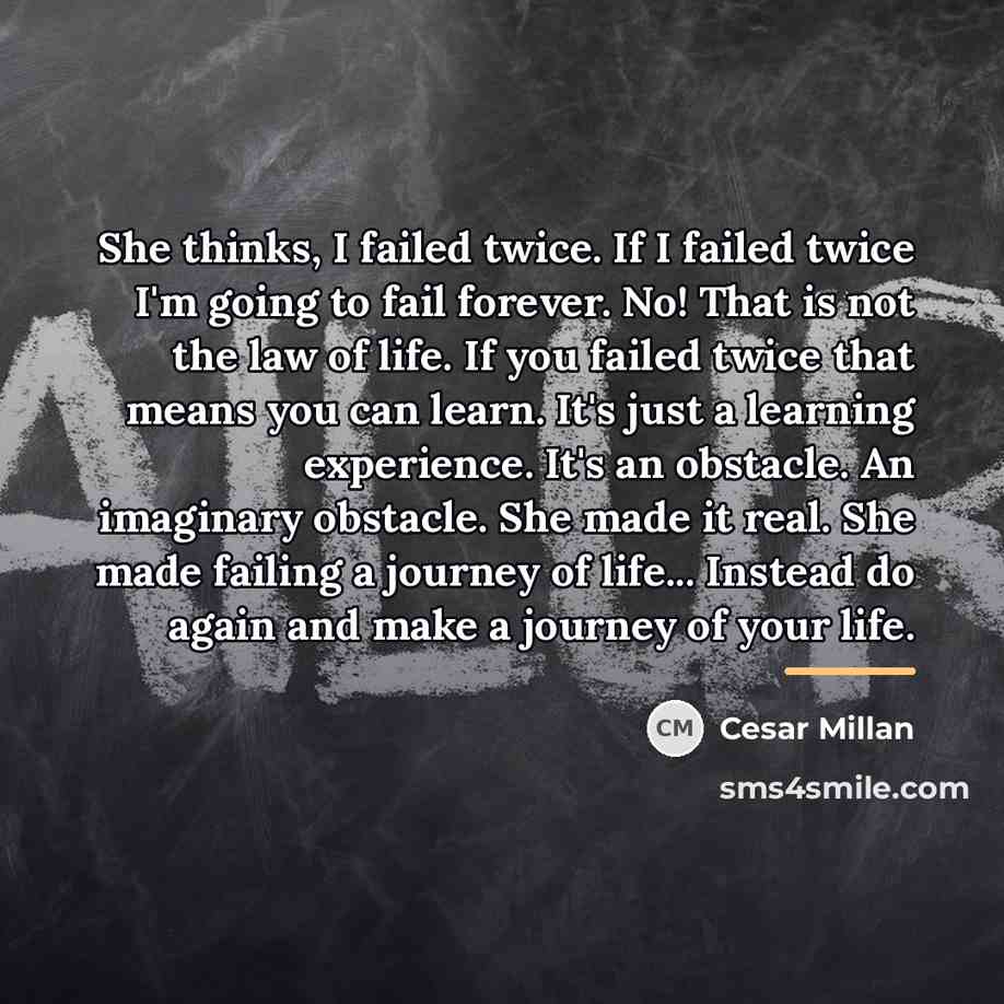 “She thinks, I failed twice. If I failed twice I'm…” quote by Cesar Millan