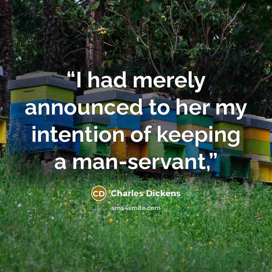 “I had merely announced to her my intention of keeping a man-servant,” quote by Charles Dickens