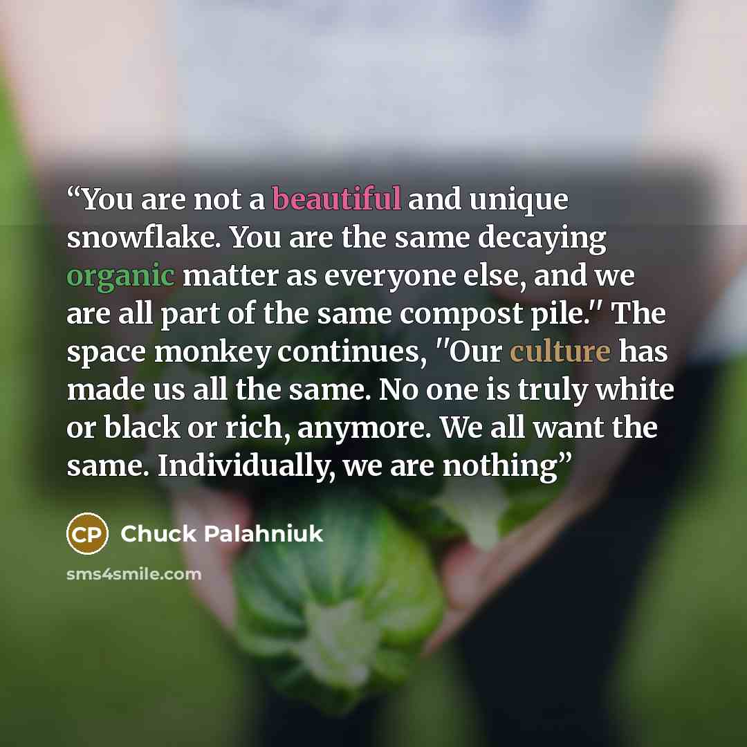 “You are not a beautiful and unique snowflake. You are the same decaying organic matter as everyone else, and we are all part of the same compost pile.'' The space monkey continues, ''Our culture has made us all the same. No one is truly white or black or rich, anymore. We all want the same…” quote by Chuck Palahniuk