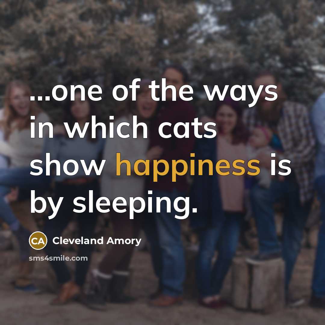 “...one of the ways in which cats show happiness is…” quote by Cleveland Amory