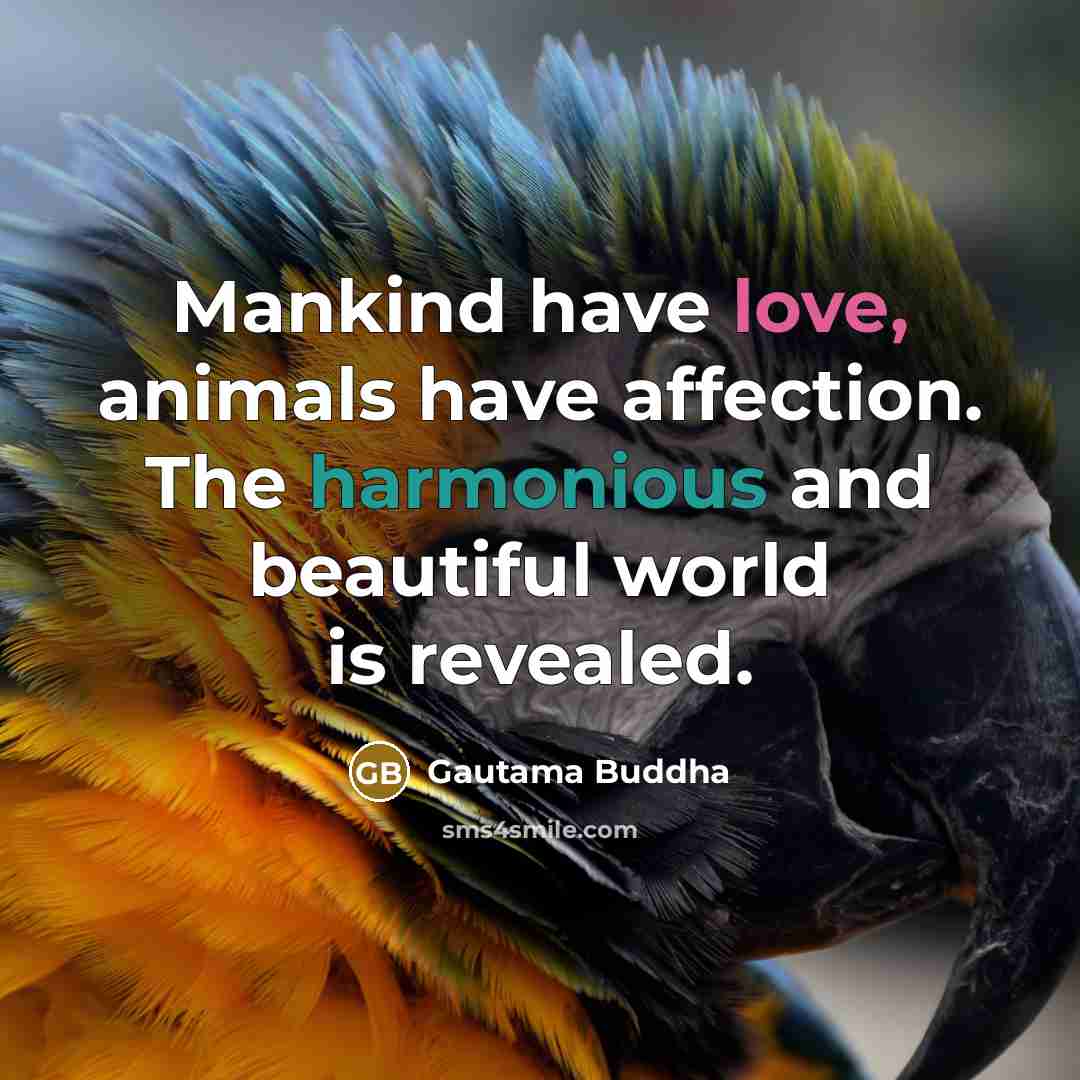 “Mankind have love, animals have affection. The harmonious and beautiful…” quote by Gautama Buddha