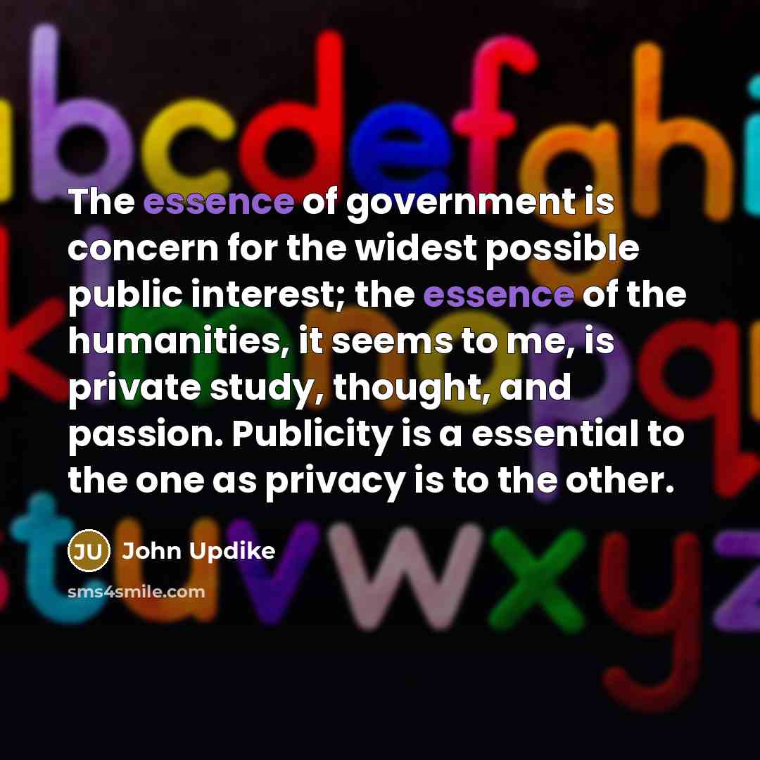 “The essence of government is concern for the widest possible…” quote by John Updike