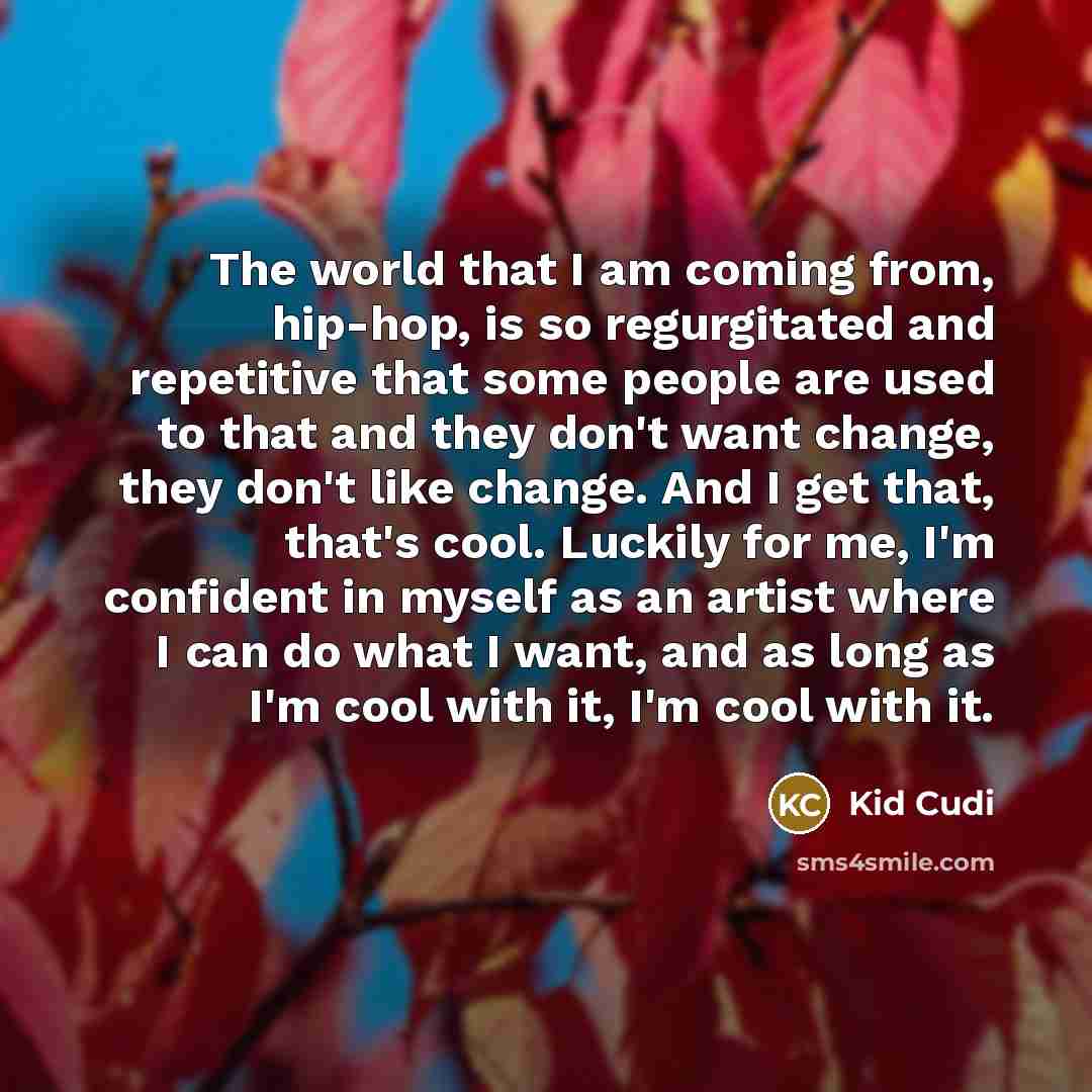 “The world that I am coming from, hip-hop, is so…” quote by Kid Cudi