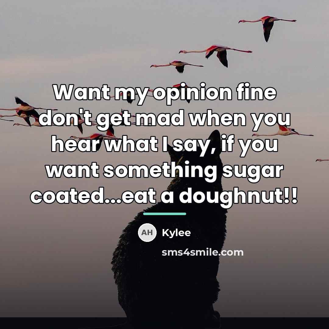 “Want my opinion fine don't get mad when you hear…” quote by Kylee