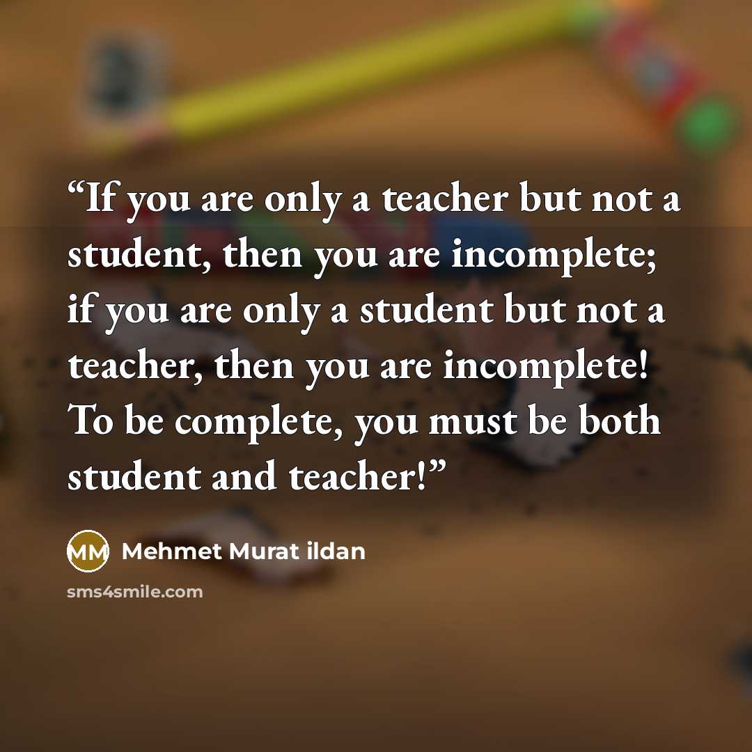 “If you are only a teacher but not a student, then you are incomplete; if you are only a student but not a teacher, then you are incomplete! To be complete, you must be both student and teacher!” quote by Mehmet Murat ildan