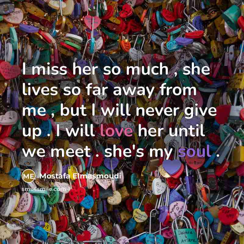 “I miss her so much , she lives so far away from me , but I will never give up . I will love her until we meet . she's my soul .” quote by Mostafa Elmasmoudi
