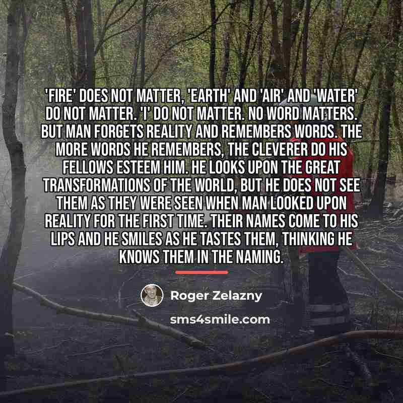 “'Fire' does not matter, 'earth' and 'air' and 'water' do…” quote by Roger Zelazny